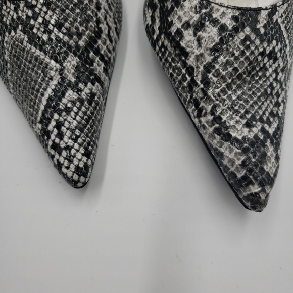 Clinton Stuart - Picture 7 of 10